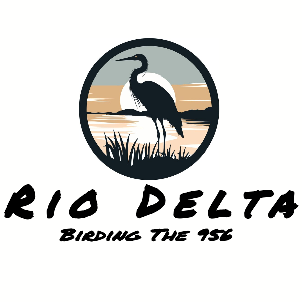 Rio Delta Birding Tours